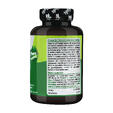 PSYLLIUM HUSK